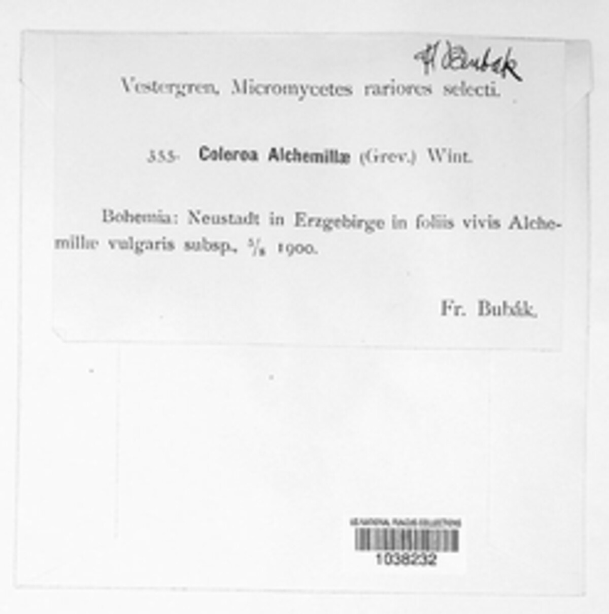 Coleroa alchemillae image